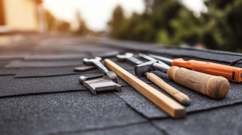 Handyman Roof Repair