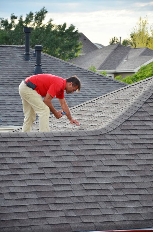 Spring Roof Inspection